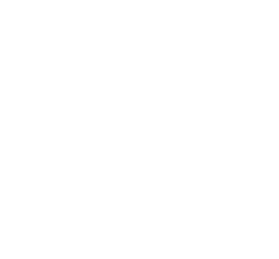 TheStarter